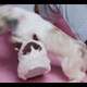 If you didn’t catch Diplo’s grumpy cat slippers the first time.